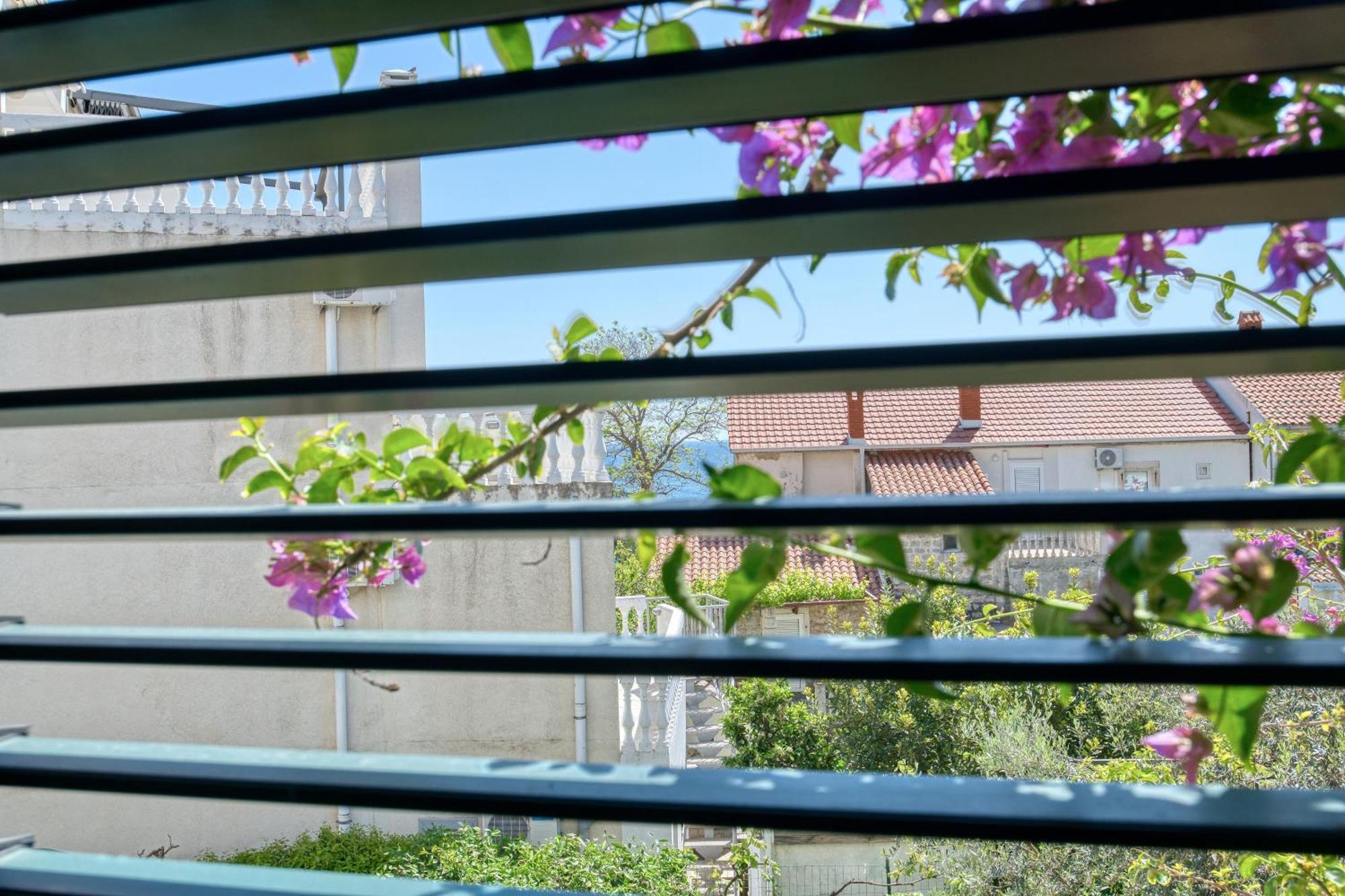 Apartman Zenta Petrovac na moru Exterior foto